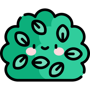 Cut hedges