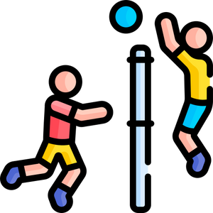 Volleyball