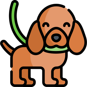Dog walk