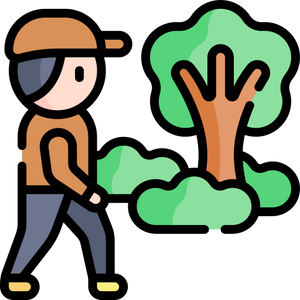 Walk