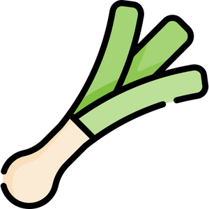 Spring onion