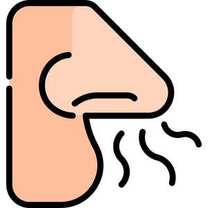 Strong smell