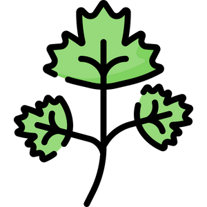 Parsley